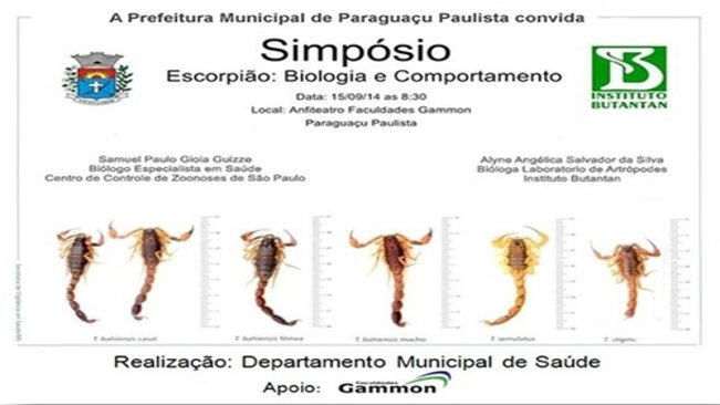 Simpósio sobre Biologia e Comportamento do Escorpião acontece na próxima segunda