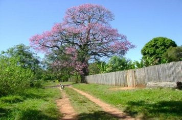 Foto - PASSEIO DO TREM TURÍSTICO DIA 02 DE MAIO - DOMINGO
