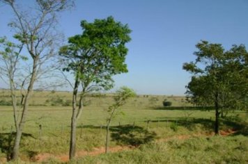 Foto - PASSEIO DO TREM TURÍSTICO DIA 24 DE JULHO - SÁBADO - MANHÃ