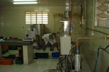 Foto - Funcionamento Piloto da Pasteurização de Leite em Paraguaçu