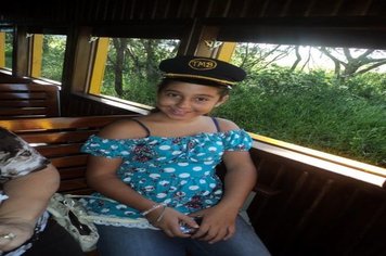 Foto - Passeio do Trem Turístico e Cultural 