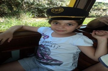 Foto - Passeio do Trem Turístico e Cultural 