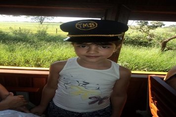 Foto - Passeio do Trem Turístico e Cultural 