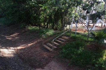 Foto - Passeio do Trem Turístico e Cultural 