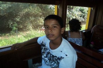 Foto - Passeio do Trem Turístico e Cultural 