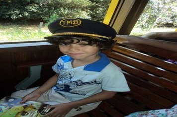 Foto - Passeio do Trem Turístico e Cultural 