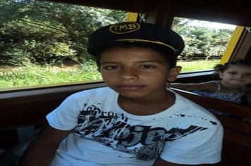 Foto - Passeio do Trem Turístico e Cultural 