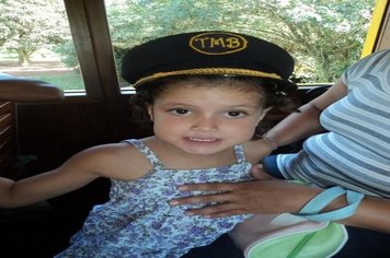 Foto - Passeio do Trem Turístico e Cultural 