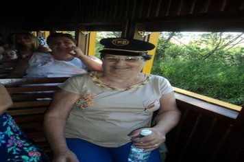 Foto - Passeio do Trem Turístico e Cultural 