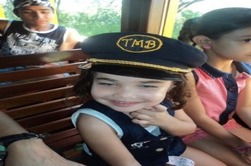 Foto - Passeio do Trem Turístico e Cultural 