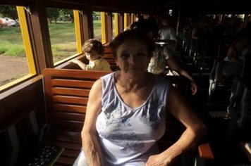 Foto - Passeio do Trem Turístico e Cultural 