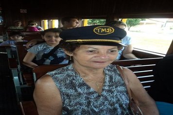Foto - Passeio do Trem Turístico e Cultural 