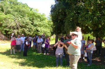 Foto - Passeio Maria Fumaça - Domingo