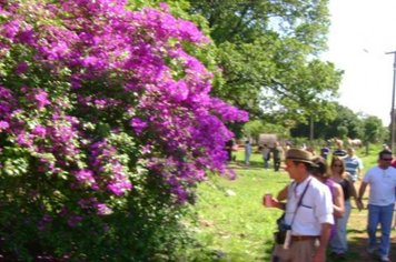 Foto - Passeio Maria Fumaça - Domingo