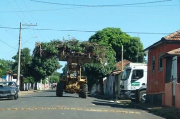 Foto - Cidade Limpa 2012 - 2º dia