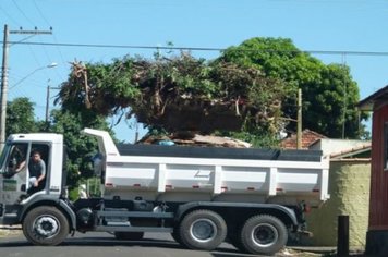 Foto - Cidade Limpa 2012 - 2º dia