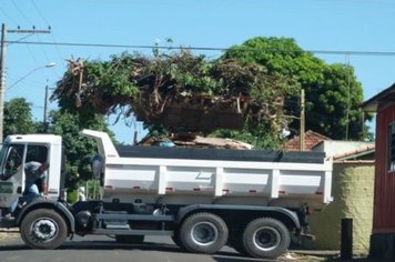 Foto - Cidade Limpa 2012 - 2º dia