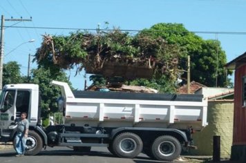 Foto - Cidade Limpa 2012 - 2º dia