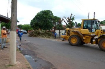 Foto - Cidade Limpa 2012 - 5º dia