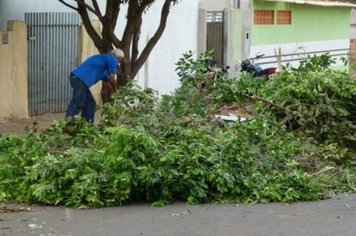 Foto - Cidade Limpa 2012 - 5º dia