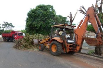 Foto - Cidade Limpa 2012 - 5º dia