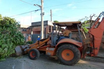 Foto - Cidade Limpa 2012 - 7º dia