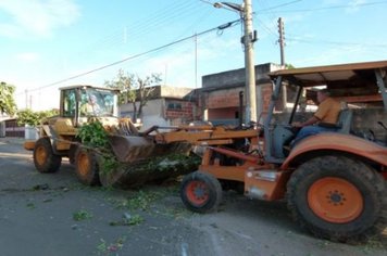 Foto - Cidade Limpa 2012 - 7º dia