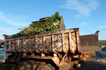 Foto - Cidade Limpa 2012 - 8º dia