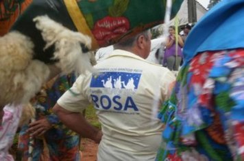 Foto - FOLIA DE REIS