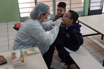 Sorrisos Saudáveis: Saúde Bucal Nas Escolas de Paraguaçu Paulista Pela Prevenção