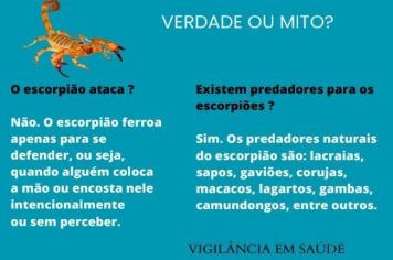 Paraguaçu Paulista participa da Semana Estadual de Enfrentamento ao Escorpião
