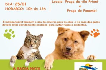 Vacinação antirrábica