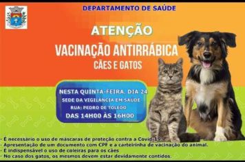 Saúde promove vacinação antirrábica