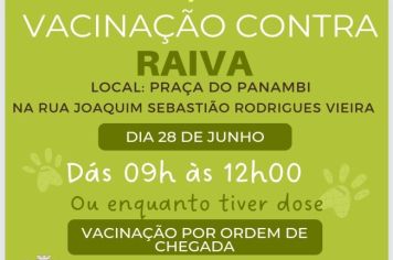 Paraguaçu realiza vacinação contra raiva para cães e gatos 