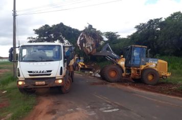 Ação conjunta promove coleta de lixo irregular pelos bairros