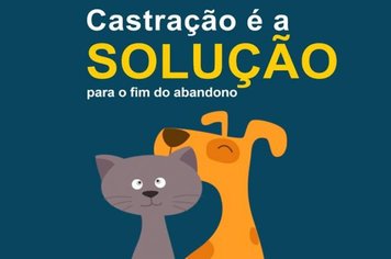 Cadastramento de cães e gatos para castração continua na Barra Funda até sexta-feira, 28