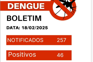 Boletim: Paraguaçu Paulista registra 46 casos de dengue e mais de 250 notificações