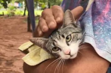 Rancho Alegre recebe equipe atendimentos da equipe de saúde no Programa Saúde em Ação