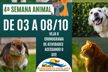 Semana Animal vai abordar posse responsável e prevenção de doenças.