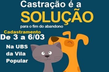 Cadastramento para castração de animais será de 3 a 6 de março 