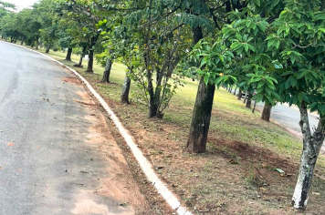 Capina e limpeza finalizadas na praça da Rua Almeida Porto, no Panambi
