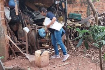 Paraguaçu Paulista teve mais de 300 casos de dengue em 2023; Saúde alerta sobre importância da população fazer sua parte