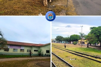 Mutirão de limpeza e roçagem avança pela cidade e Prefeitura convoca população a combater a dengue