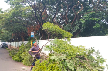 Poda de galhos visa dar segurança a usuários da via pública