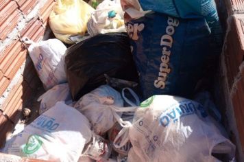 Lixeiras irregulares causam riscos à saúde pública