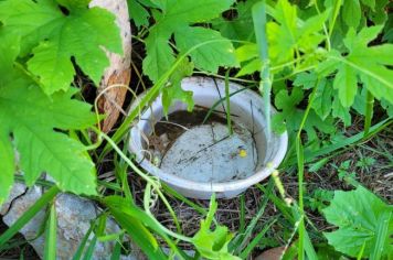 Saúde segue combate à dengue em Paraguaçu