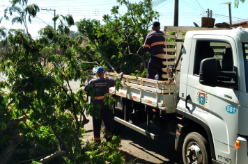 Prefeitura intensifica limpeza e recuperação de Paraguaçu Paulista após tempestade