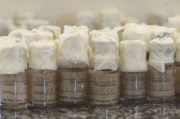 Água parada nas residências está elevando os índices de infestação da dengue em Paraguaçu Paulista