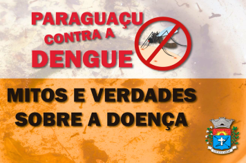 Mitos e verdades sobre a Dengue: Informação correta é essencial na prevenção