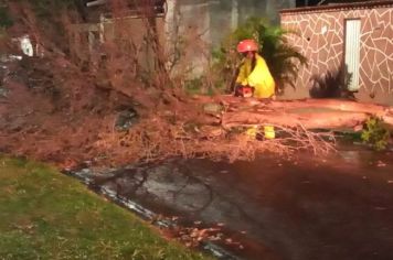 Defesa Civil e Prefeitura atendem moradores após vendaval em Paraguaçu Paulista